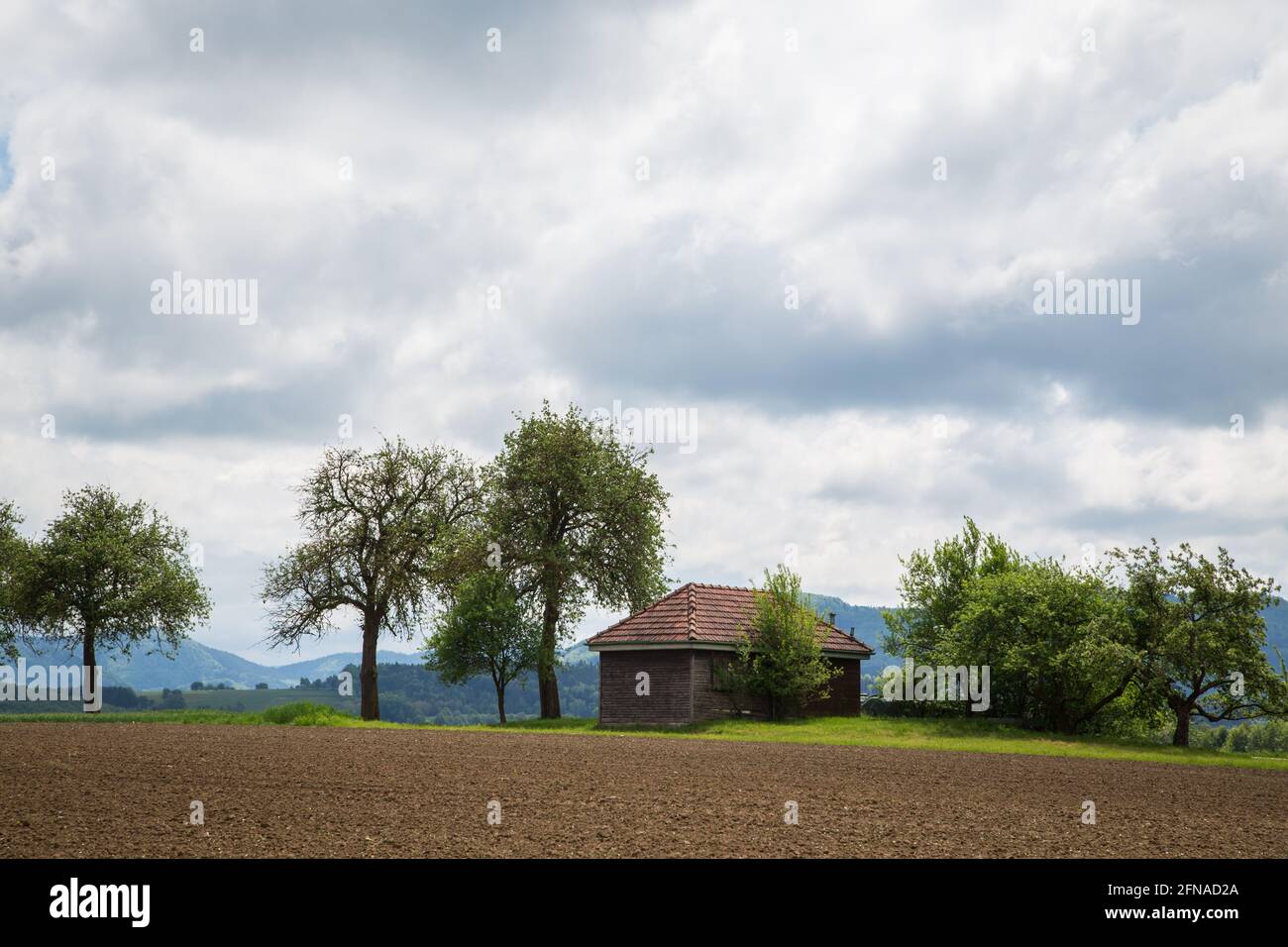 Obstwiese, Wolfpassing, Mostviertel, Österreich Stockfoto
