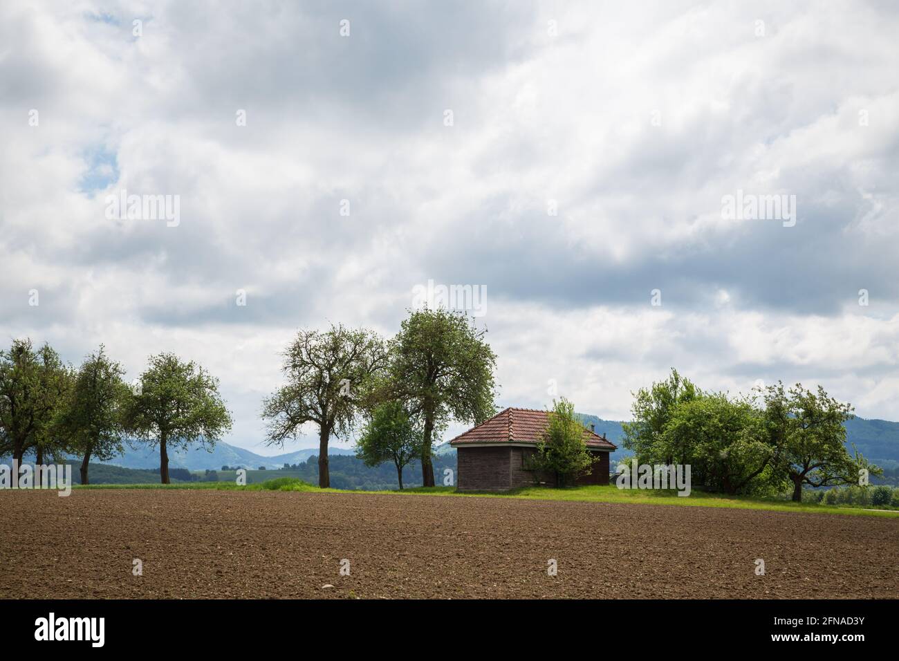Obstwiese, Wolfpassing, Mostviertel, Österreich Stockfoto