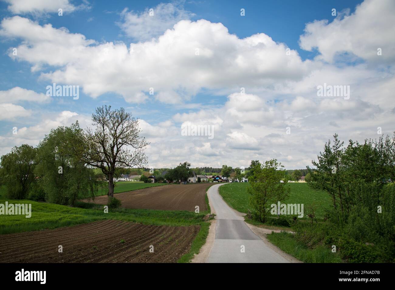 Wandern rund um die Loising Gemeinde Wolfpassing, Mostviertel, Österreich Stockfoto