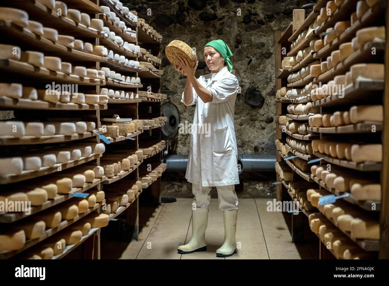Elena bei der Arbeit, die den Reifeprozess steuert. Käserei, Fabrik, Formatgeria Mas d´Eroles, handwerkliche Käserei, Adrall Dorf, Lleida, Spanien Stockfoto