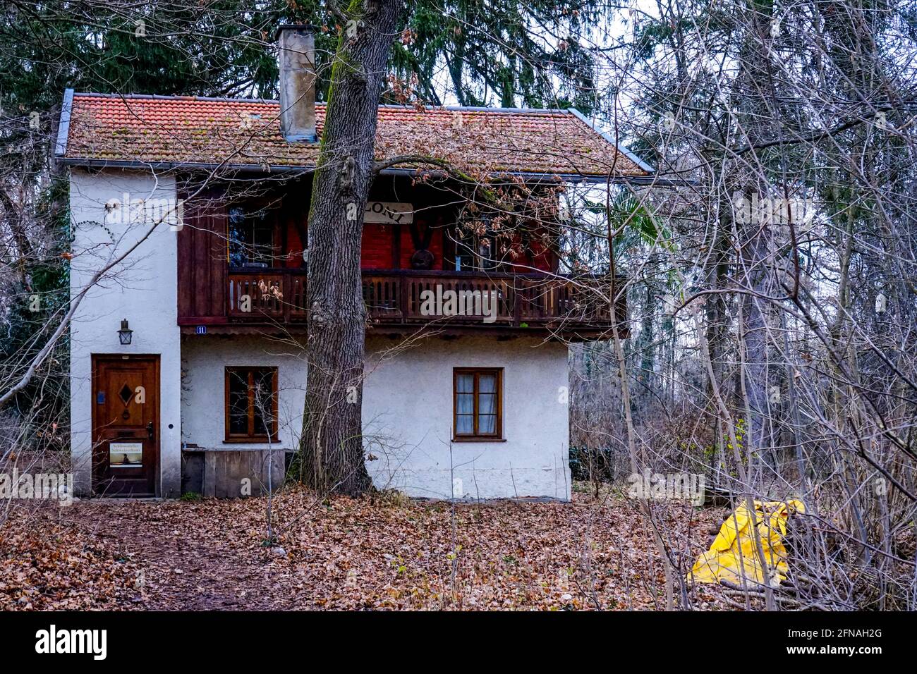 Alte Villa hinter einem blattlosen Baum in einem kleinen Wald, der Boden voller Blätter. Stockfoto