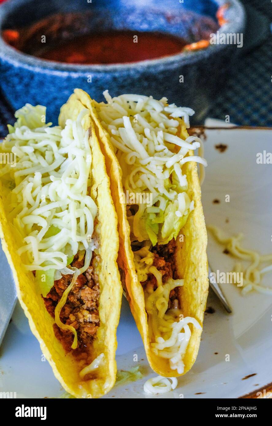 Zwei Tacos auf dem Teller Stockfoto