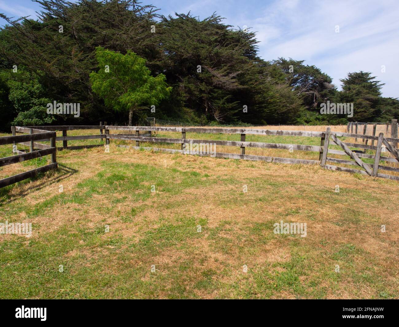 Farm Paddock mit EINEM Holzzaun Stockfoto