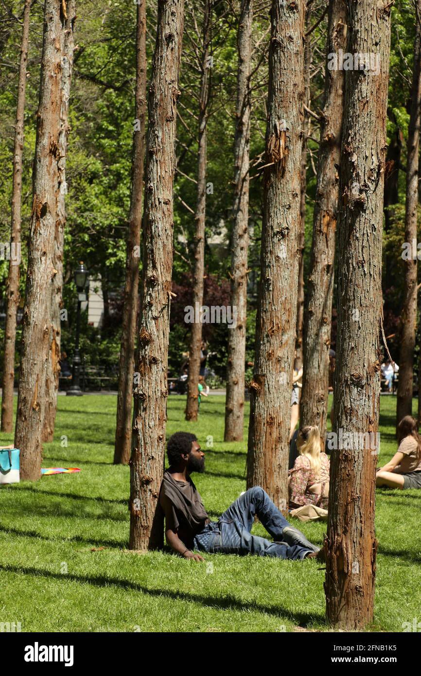 New York, New York, USA. Mai 2021. Ein Blick auf die Ausstellung „Ghost Forest“ im Madison Square Park von der Künstlerin Maya Lin, die das Vietnam Veterans Memorial in Washington entworfen hat. DC. Die Ausstellung soll das Bewusstsein für den Klimawandel und den Verlust von Wäldern auf der ganzen Welt schärfen. Der Künstler verwendete 49 tote weiße Zedernbäume aus den Pine Barrens von New Jersey, die durch die Salzwasserüberflutung zerstört wurden. Quelle: Nancy Kaserman/ZUMA Wire/Alamy Live News Stockfoto