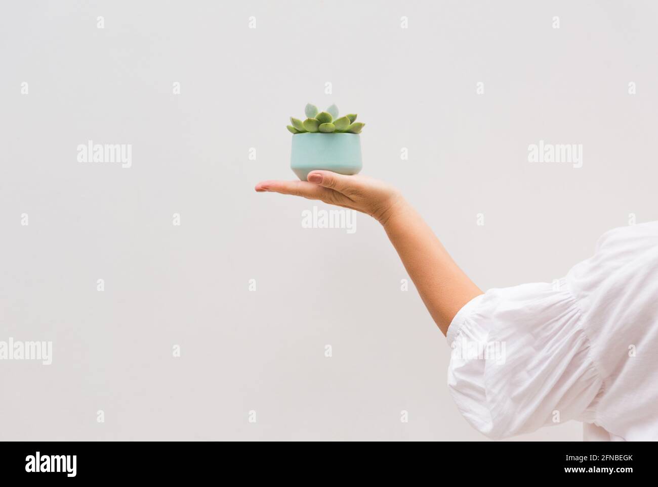 Eine Frau, die eine eitrige Blume in ihrer Handfläche hält Stockfoto