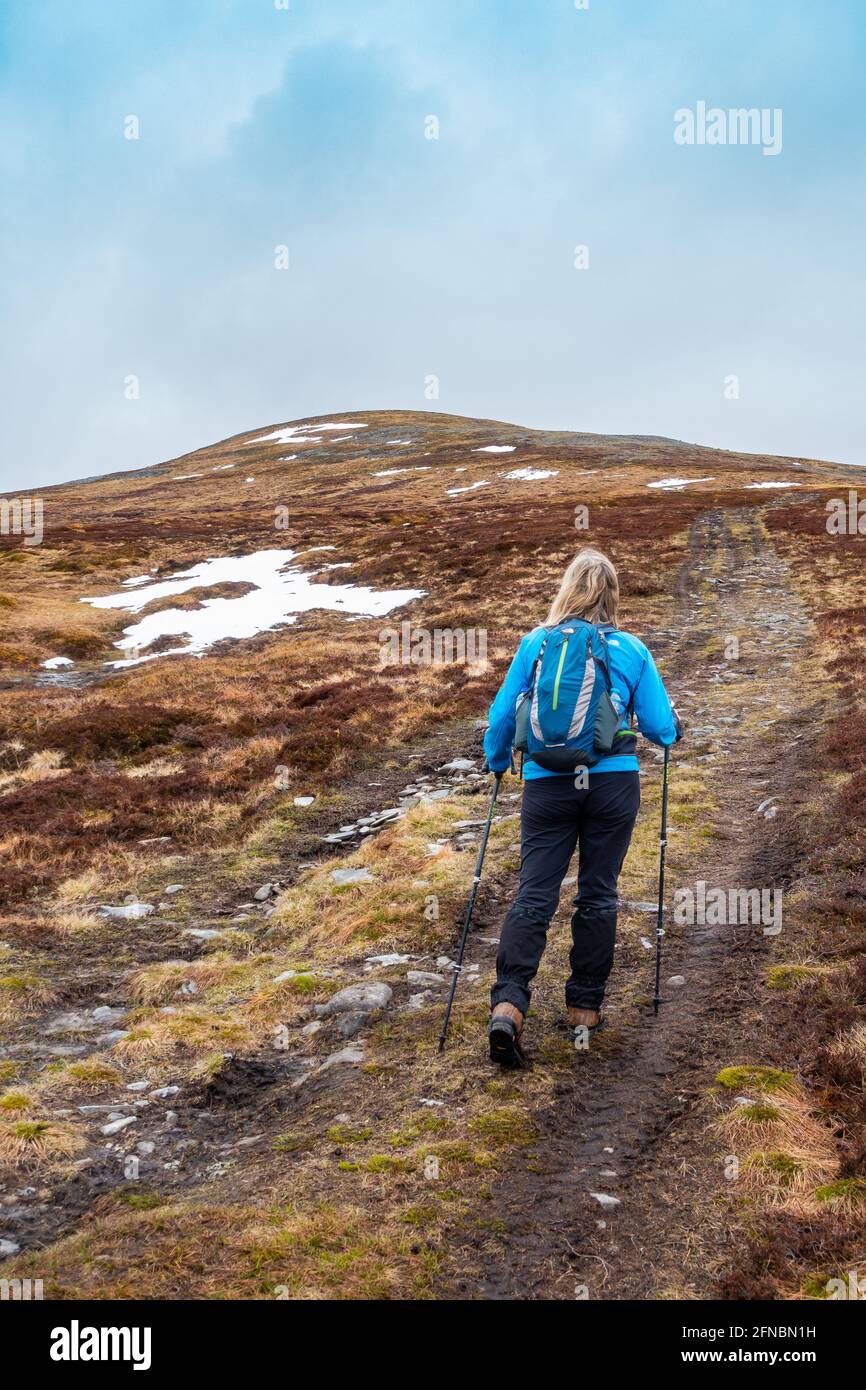 Ein Wanderer auf dem Weg uo zum Munro Mountain von Sgairneach Mhor westlich des Drumochter Passes, Schottland Stockfoto