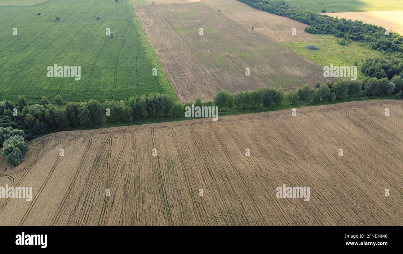 Landwirtschaftliche Felder, Draufsicht. Bewirtschaftete Felder, Blick aus der Vogelperspektive auf die Landschaft. Stockfoto