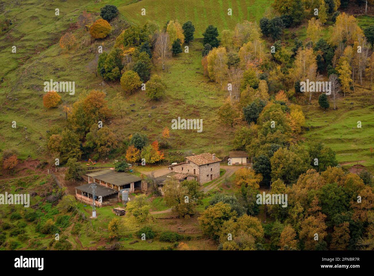 Wälder und ein Landhaus an der Nordwand der Puigsacalm, zwischen Vidrà und Sant Privat d'en Bas im Herbst (Garrotxa, Katalonien, Spanien) Stockfoto