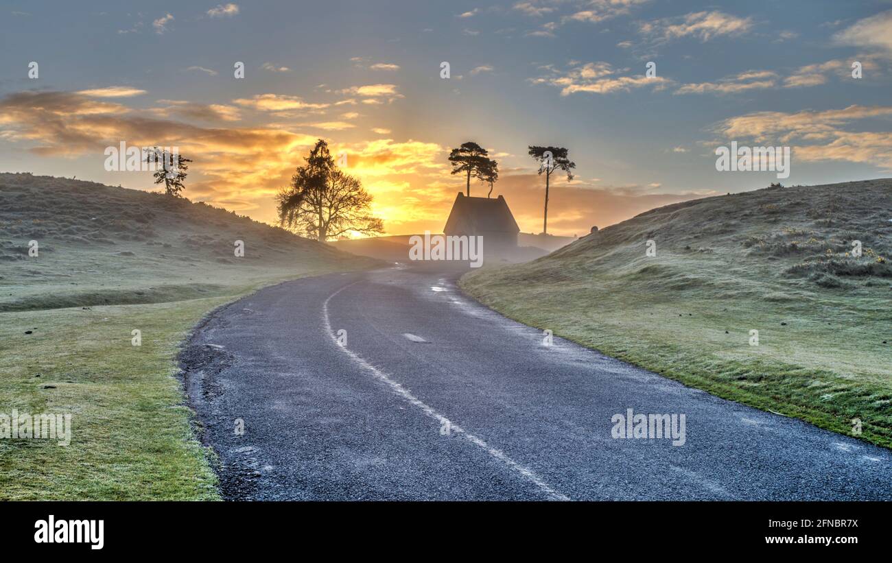 Sonnenaufgang in den Curragh Plains, County Kildare, Irland. Stockfoto