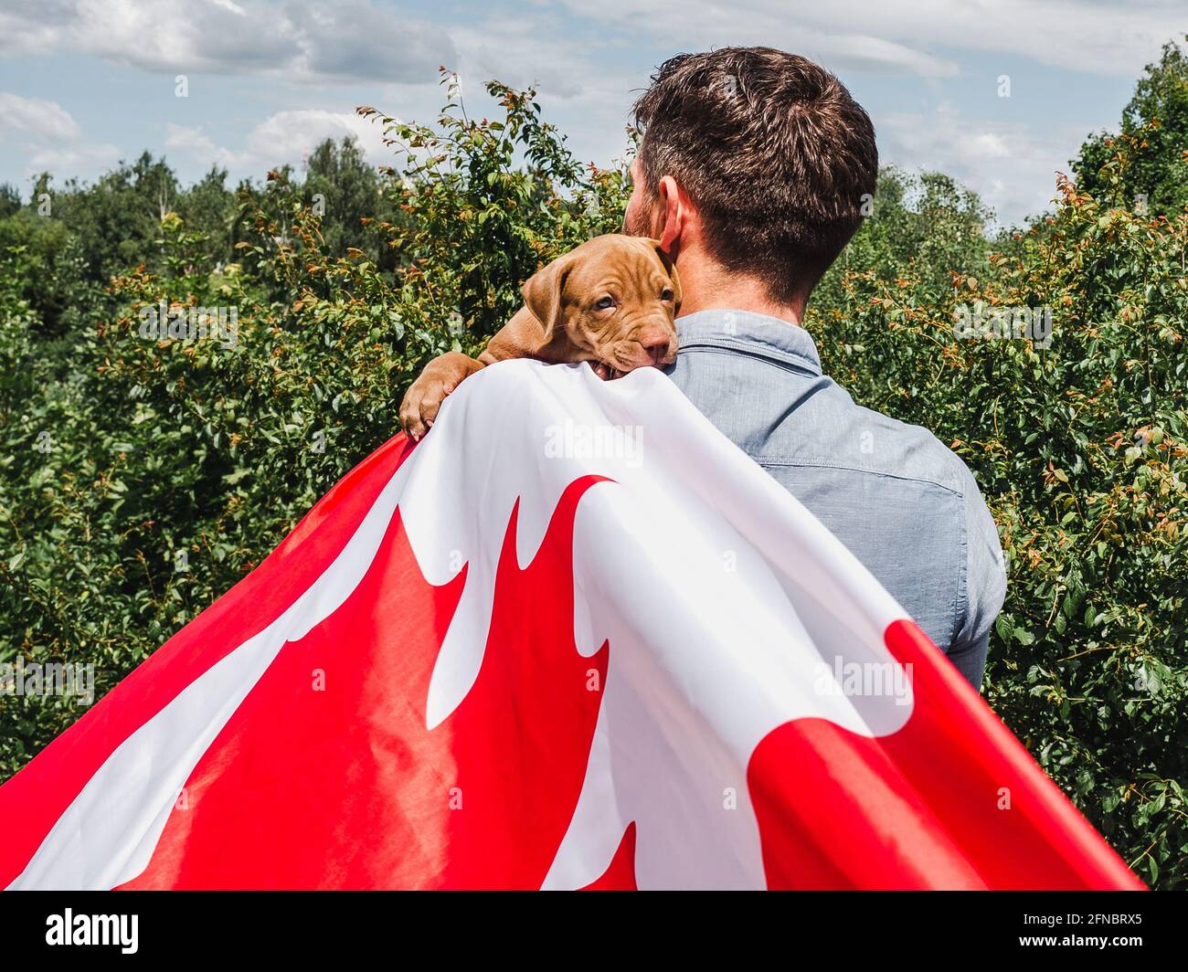Attraktiver Mann hält einen charmanten Welpen auf einem Hintergrund von blauem Himmel an einem klaren, sonnigen Tag. Im Freien, Nahaufnahme. Nationales Urlaubskonzept Stockfoto