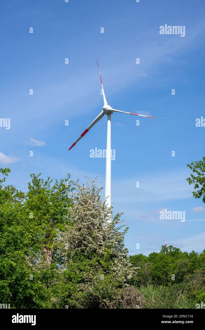 Ein modernes Windkraftwerk hinter einigen Bäumen in Deutschland Stockfoto