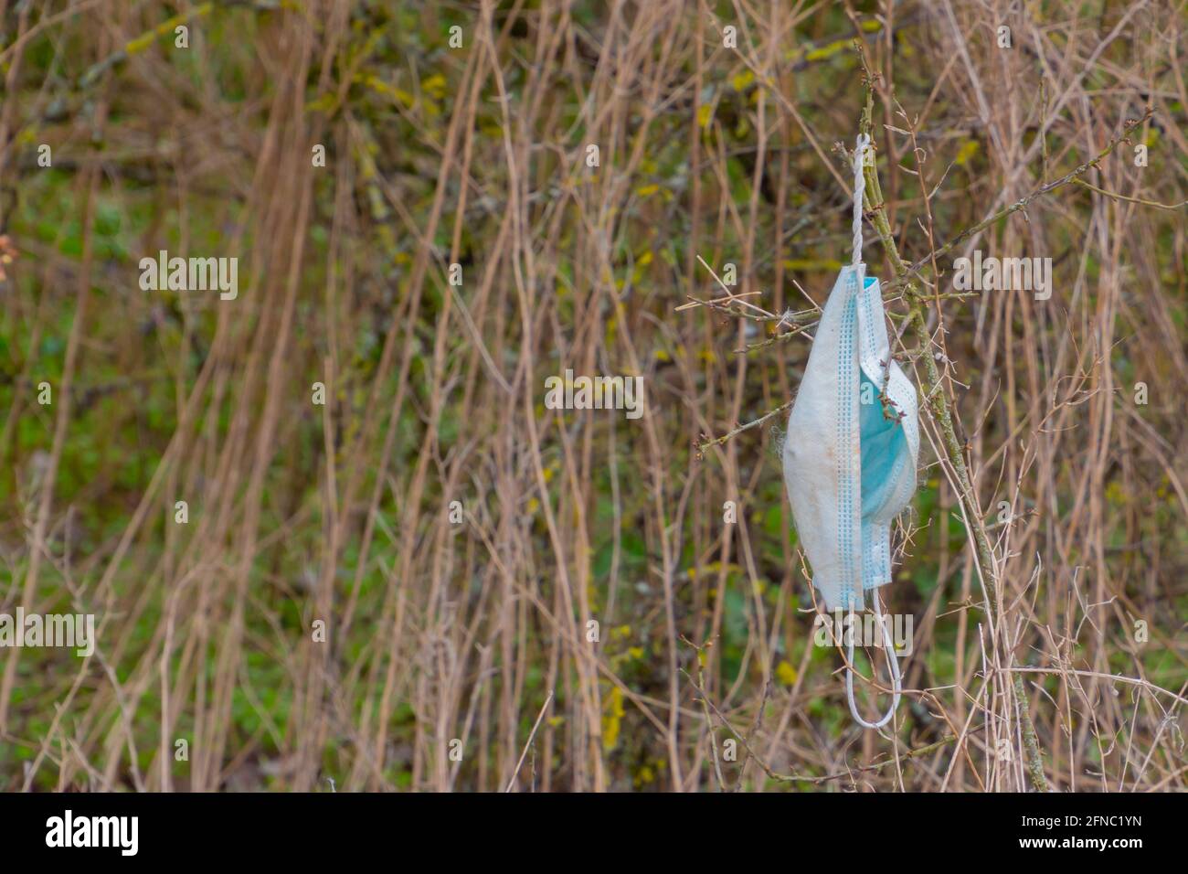 Medizinische Maske, die in trockenem Gras mit Kopierraum hängt Stockfoto
