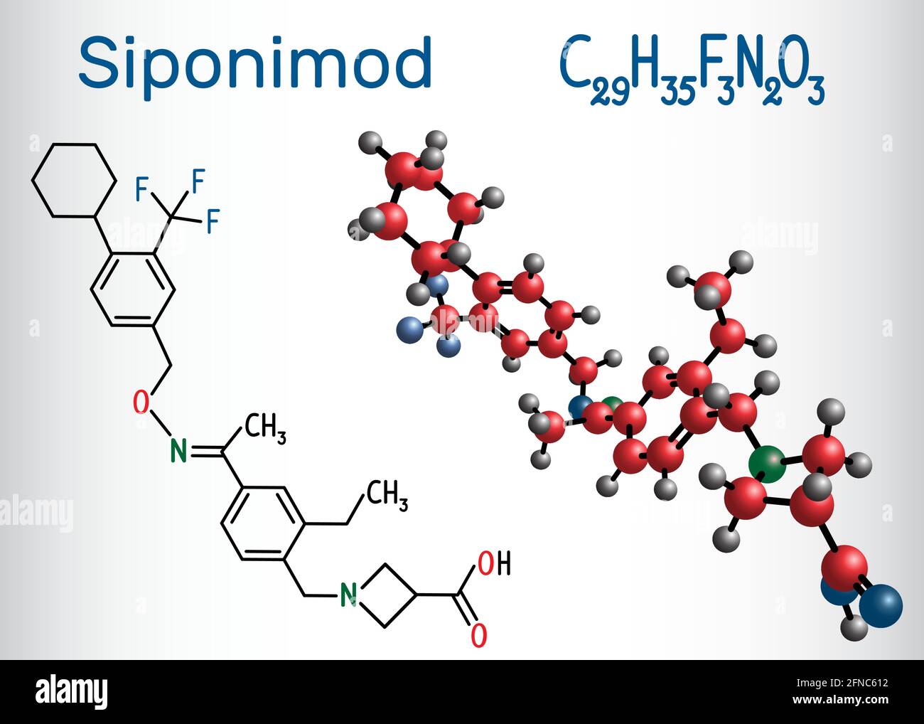 Siponimod (S1PR1-Modulator)-Molekül. Strukturelle chemische Formel und Molekülmodell. Vektorgrafik Stock Vektor
