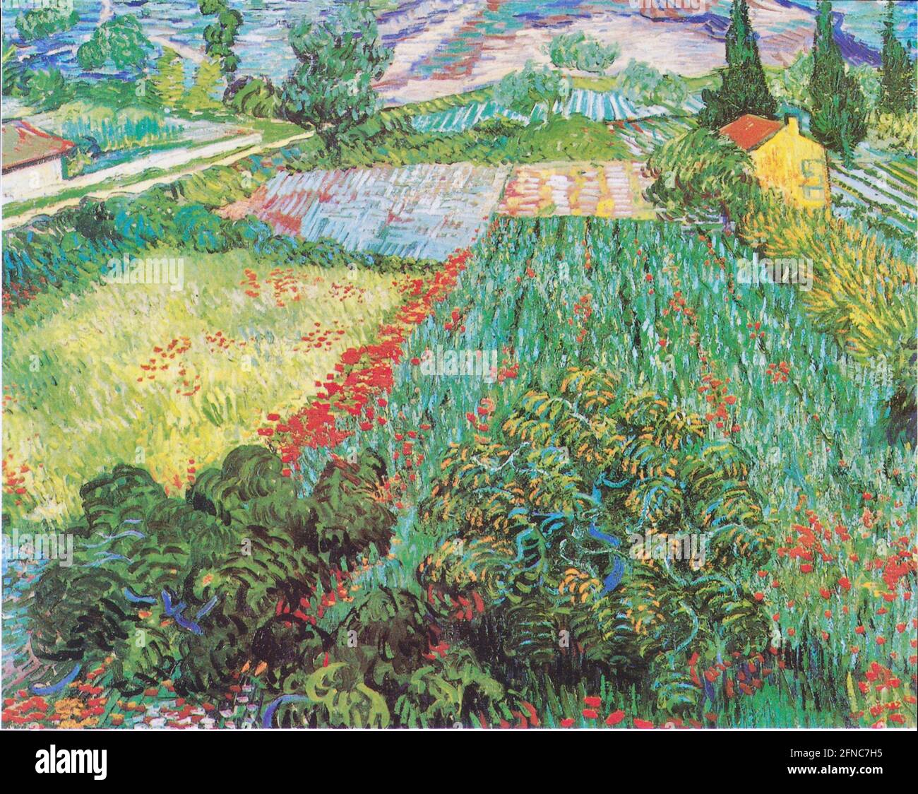 Vincent van Gogh Kunstwerk - Feld mit Mohnblumen Stockfoto
