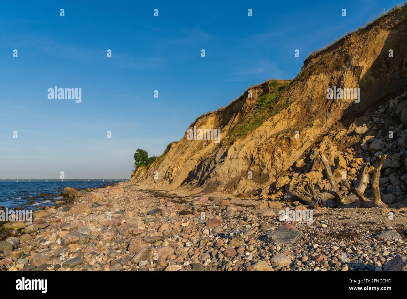 Die Ostseeküste und die Klippen von Brodten, Schleswig-Holstein, Deutschland Stockfoto