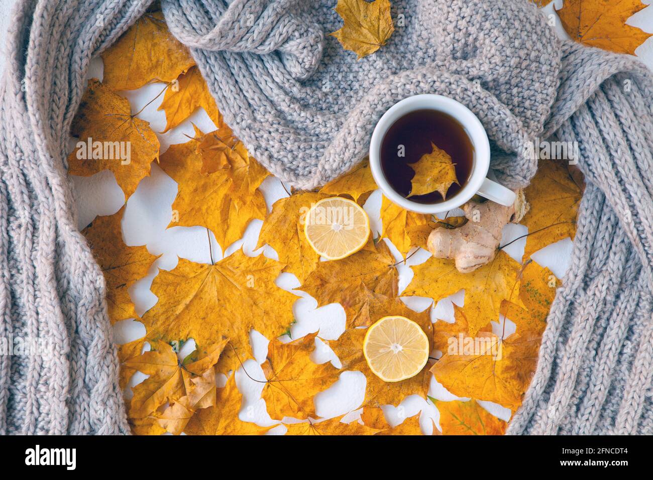 Herbststill-Leben mit weißer Tasse Tee, wärmenden grauen Schal und bunten gelben Blättern mit Ingwer und Zitrone. Selektiver Fokus, flach. Stockfoto