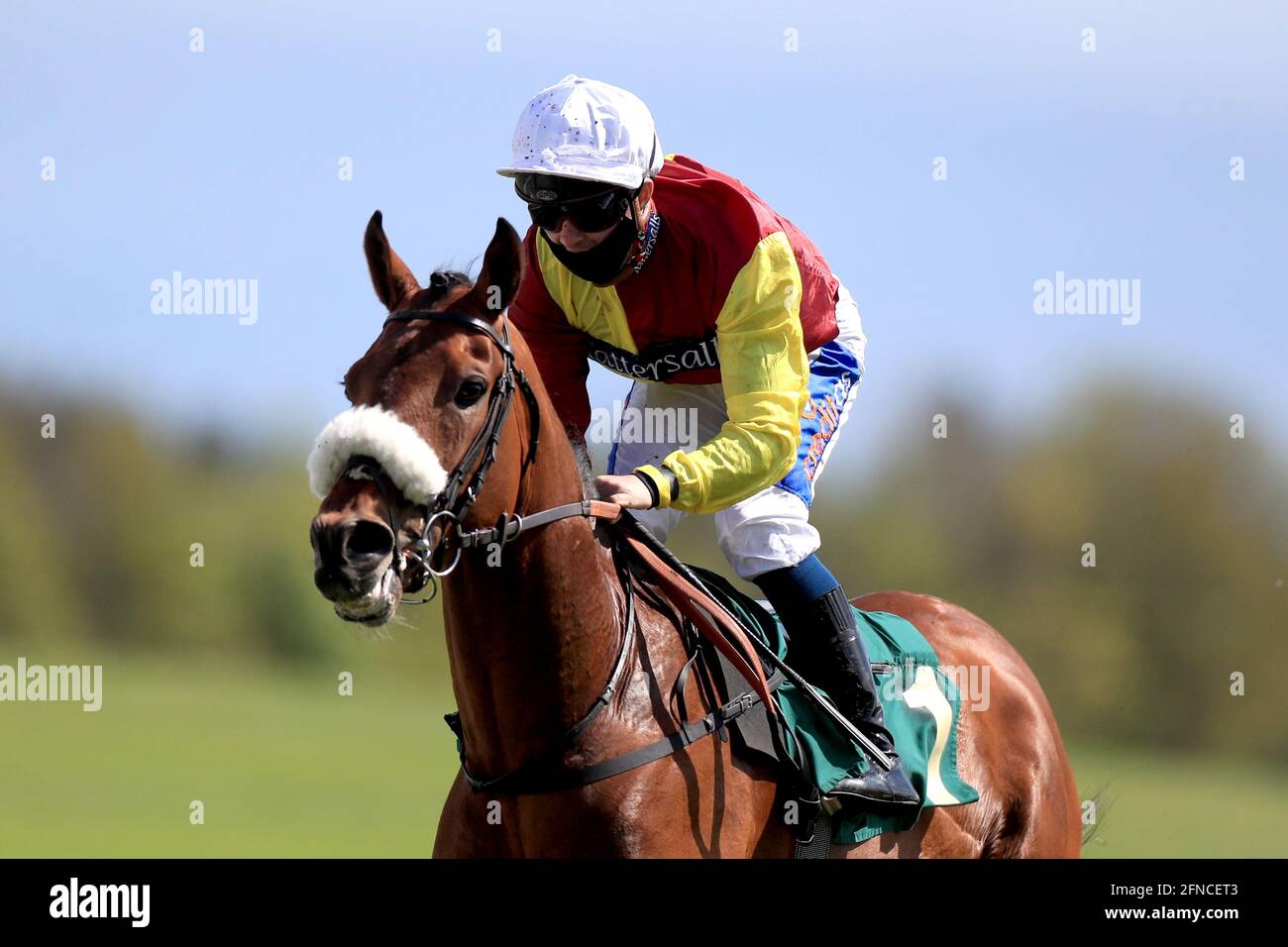 Heights of Abraham mit Shane Gary gewinnt das Visit ripon-races.co.uk Handicap auf der Rennbahn Ripon. Bilddatum: Sonntag, 16. Mai 2021. Stockfoto