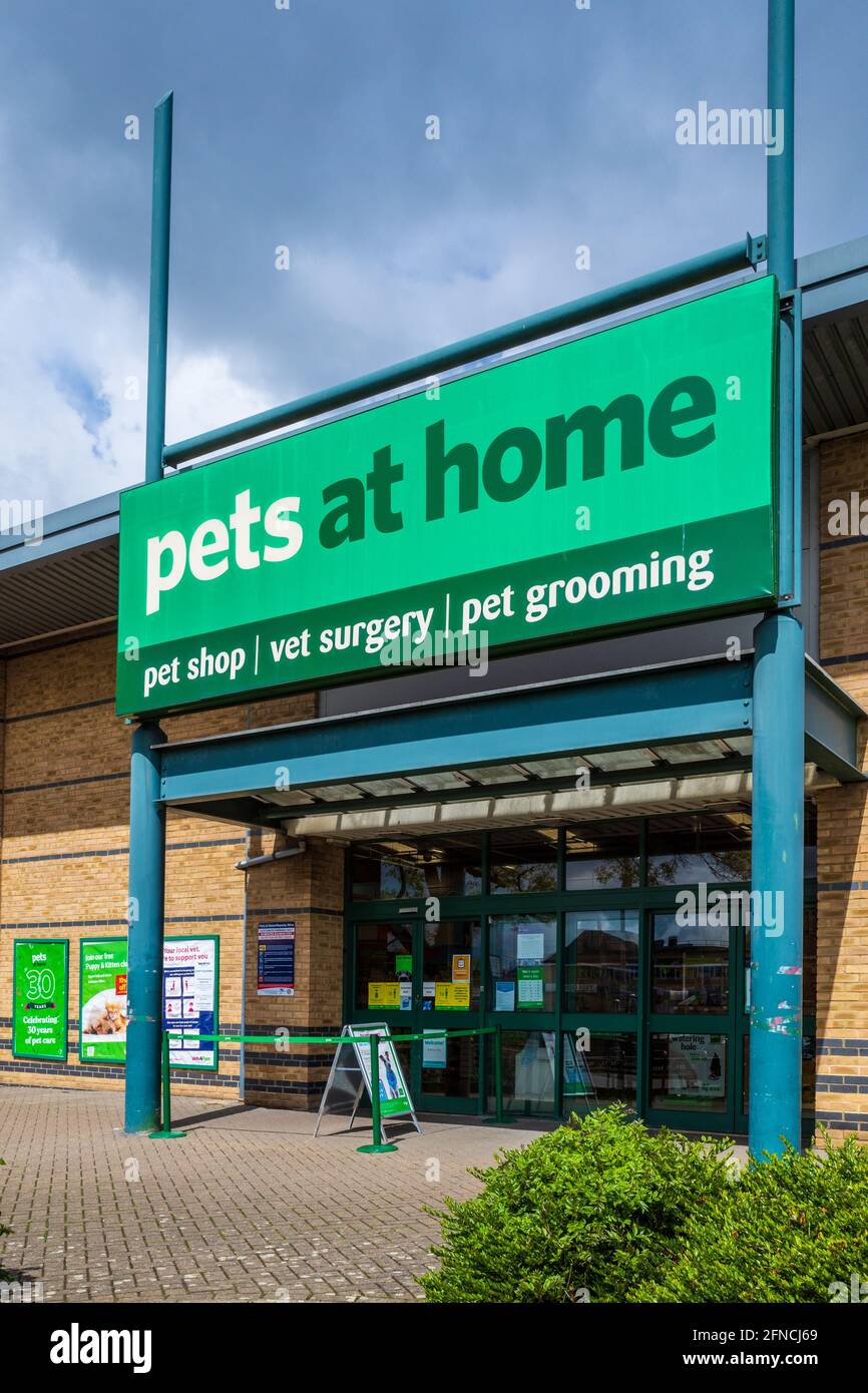 Pets at Home Store in Stevenage UK. Pets at Home ist eine Kette von Haustierbedarf und Zubehörgeschäften, die 1991 gegründet wurde. Stockfoto