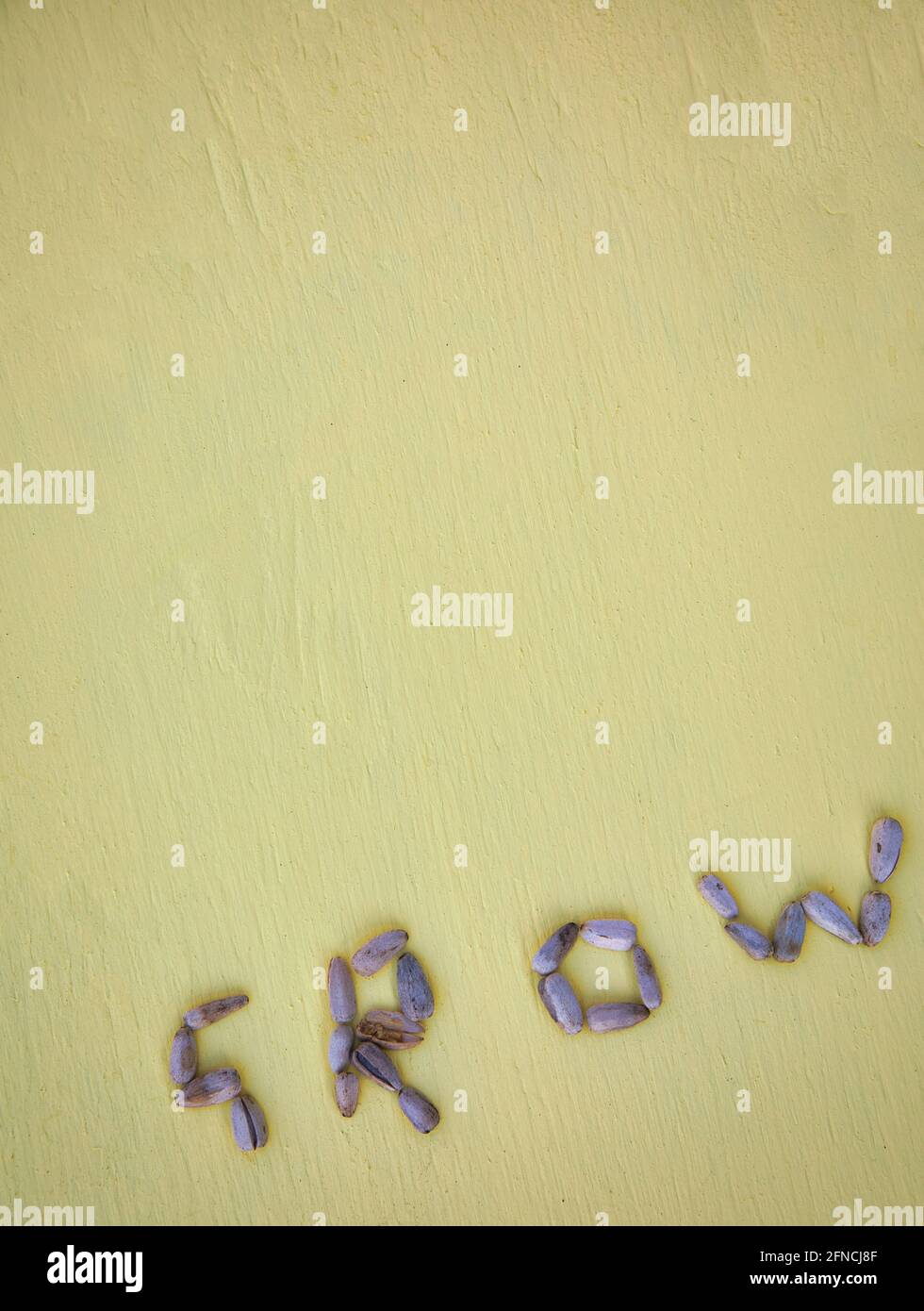 Word Grow aus Sonnenblumenkernen (Helianthus) auf gelbem strukturiertem Hintergrund. Konzept des Wachstums, Anfänge, Natur, Stockfoto