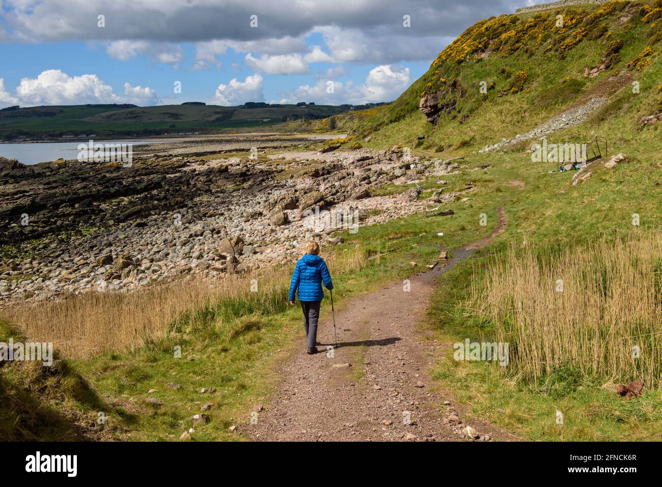 Wandern in der Rascarrel Bay in der Nähe von Auchencairn in Galloway, Schottland Stockfoto