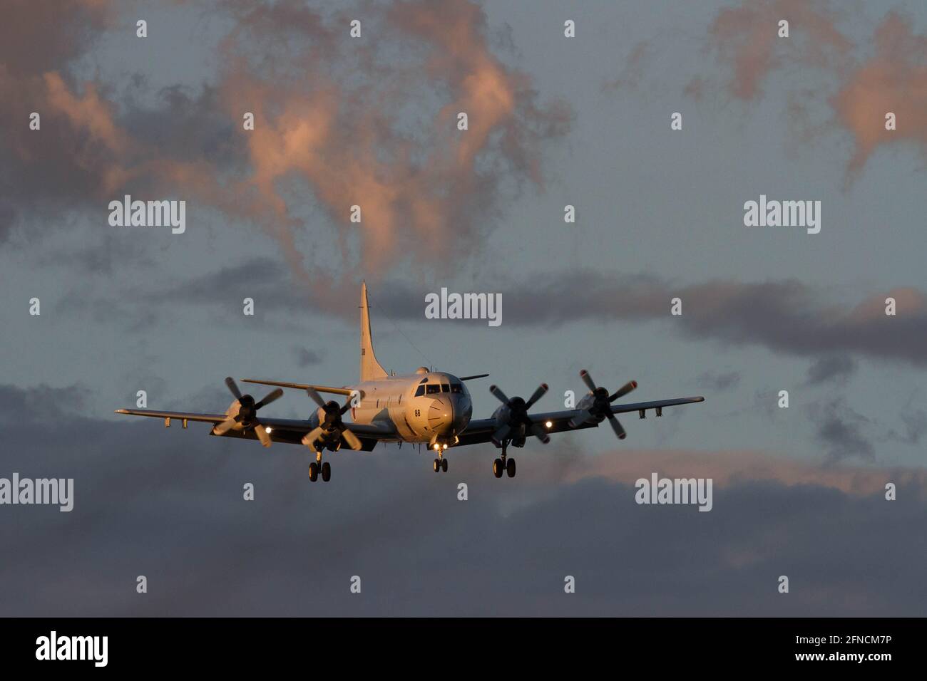 Ein Orion Maritime Aufklärungsflugzeug der Lockheed P-3C bereitet sich auf die Landung in der Naval Air Facility in Kanagawa vor. Stockfoto