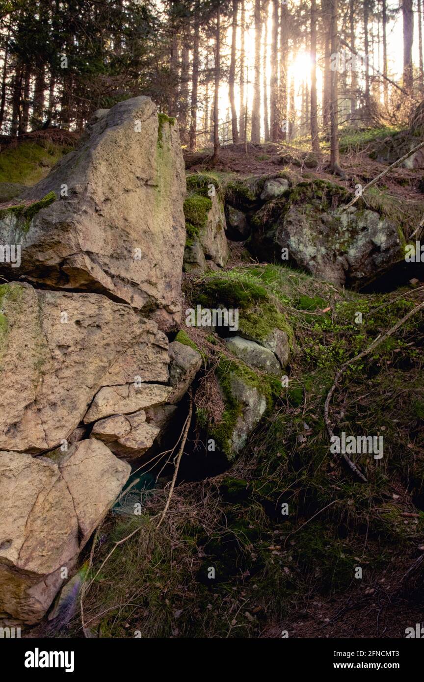 Felsformation gegen die untergehende Sonne im Wald bei Zigeunerberg (Tinker Berg) im Zittauer Gebirge, Deutschland Stockfoto