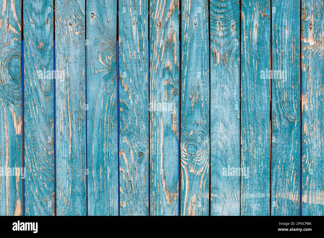 Ein blau-grüner Holzzaun mit einer ausgeprägten knottigen Textur und einer rauen Oberfläche mit rissiger blau-grüner Farbe. Eine hohe Auflösung. Stockfoto
