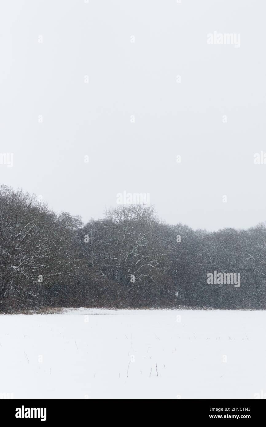 Malerische verschneite Landschaft in Somerset, England. Stockfoto