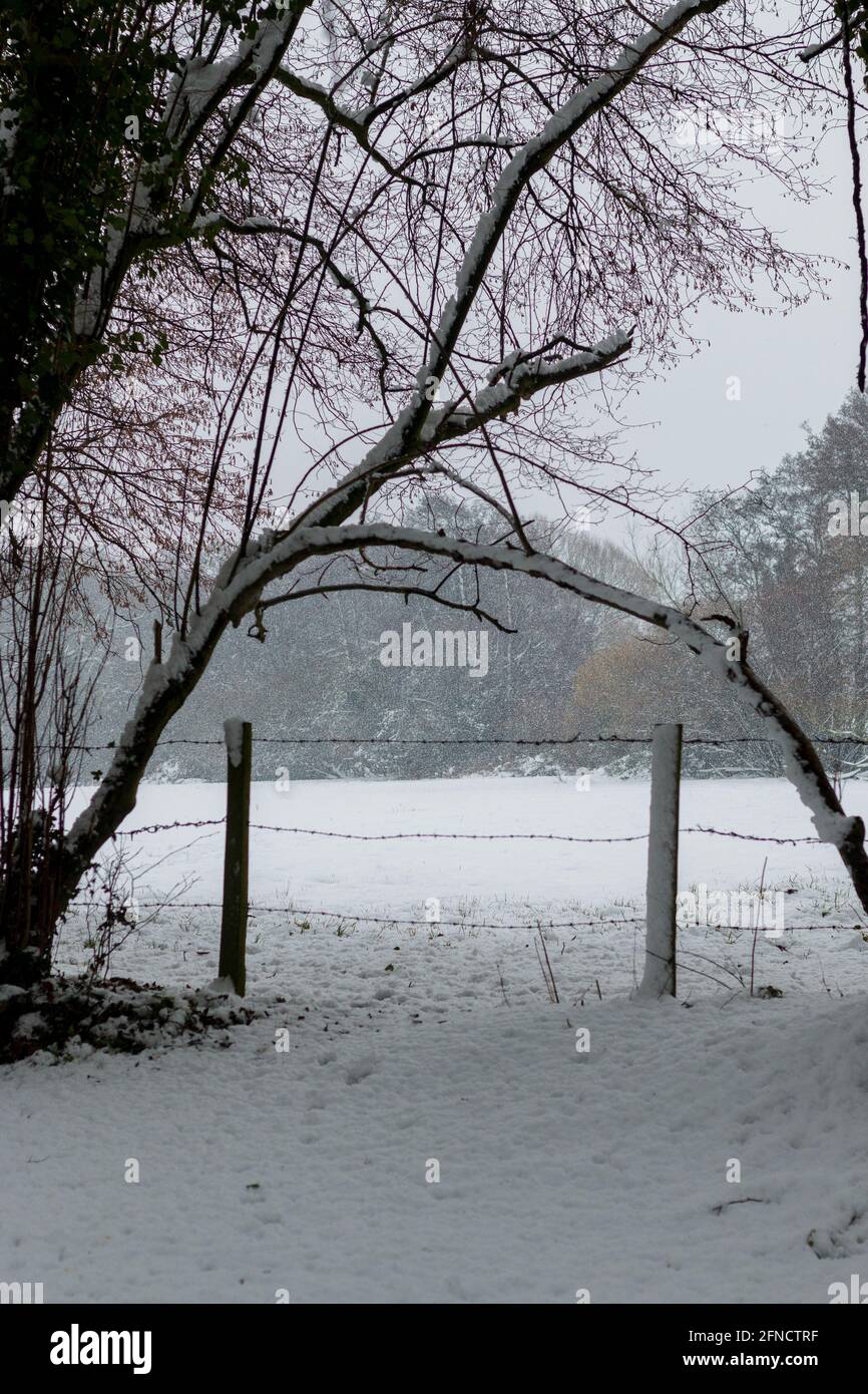 Malerische verschneite Landschaft in Somerset, England. Stockfoto