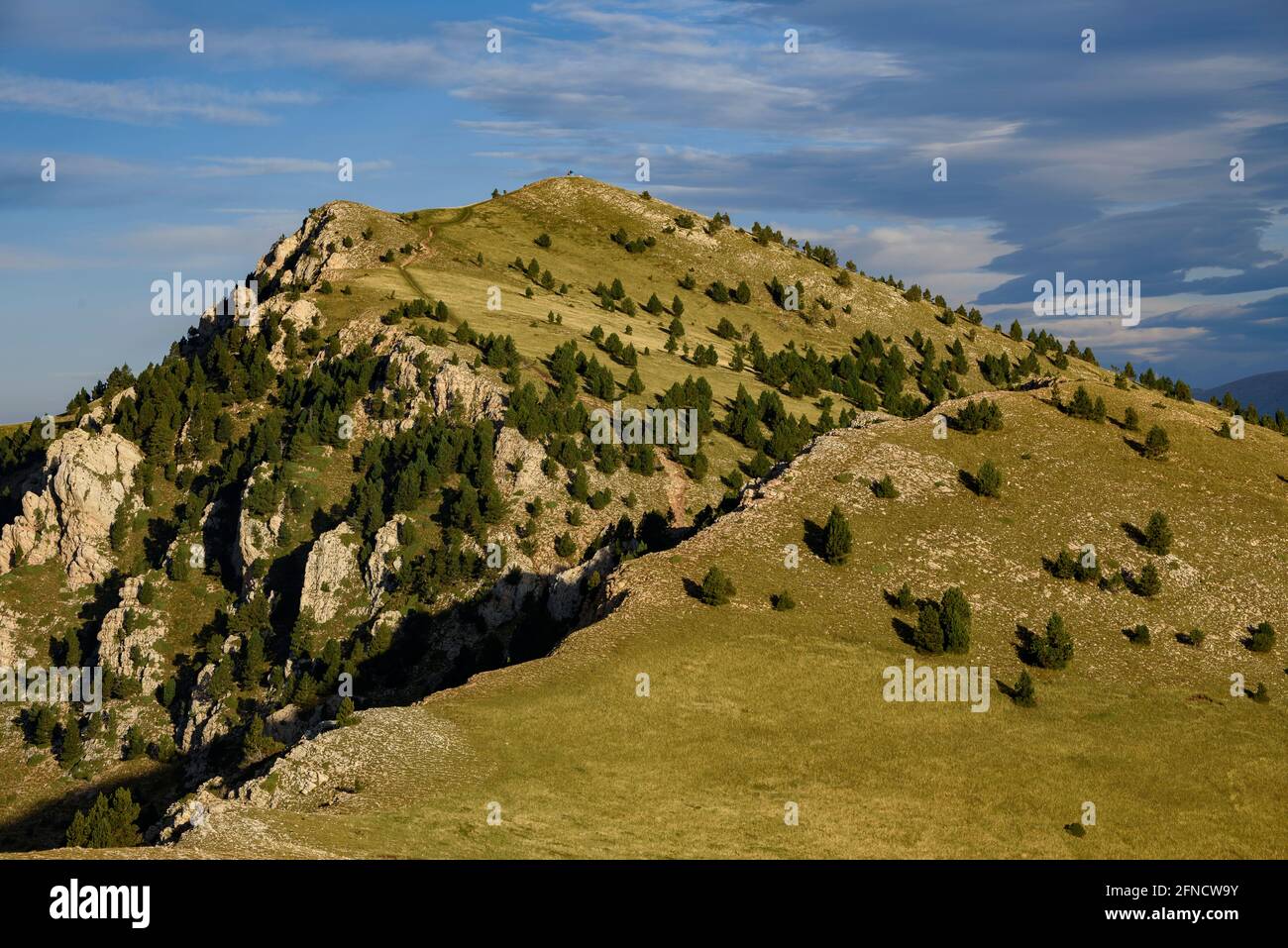 Ensija-Gebirge von einem Ort in der Nähe der Ensija-Hütte (Berguedà, Katalonien, Spanien, Pyrenäen) gesehen ESP: Vista de la Serra de Ensija Stockfoto