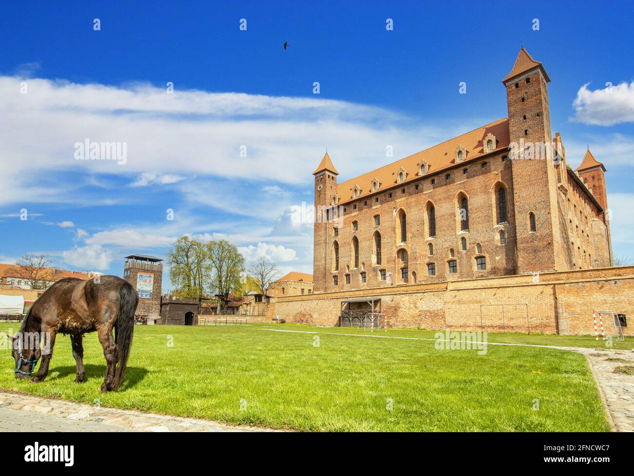 Gniew, Polen - Gniew liegt auf der linken Rückseite der Weichsel und ist berühmt für seine wunderbare mittelalterliche Architektur und seine gotische Backsteinburg Stockfoto