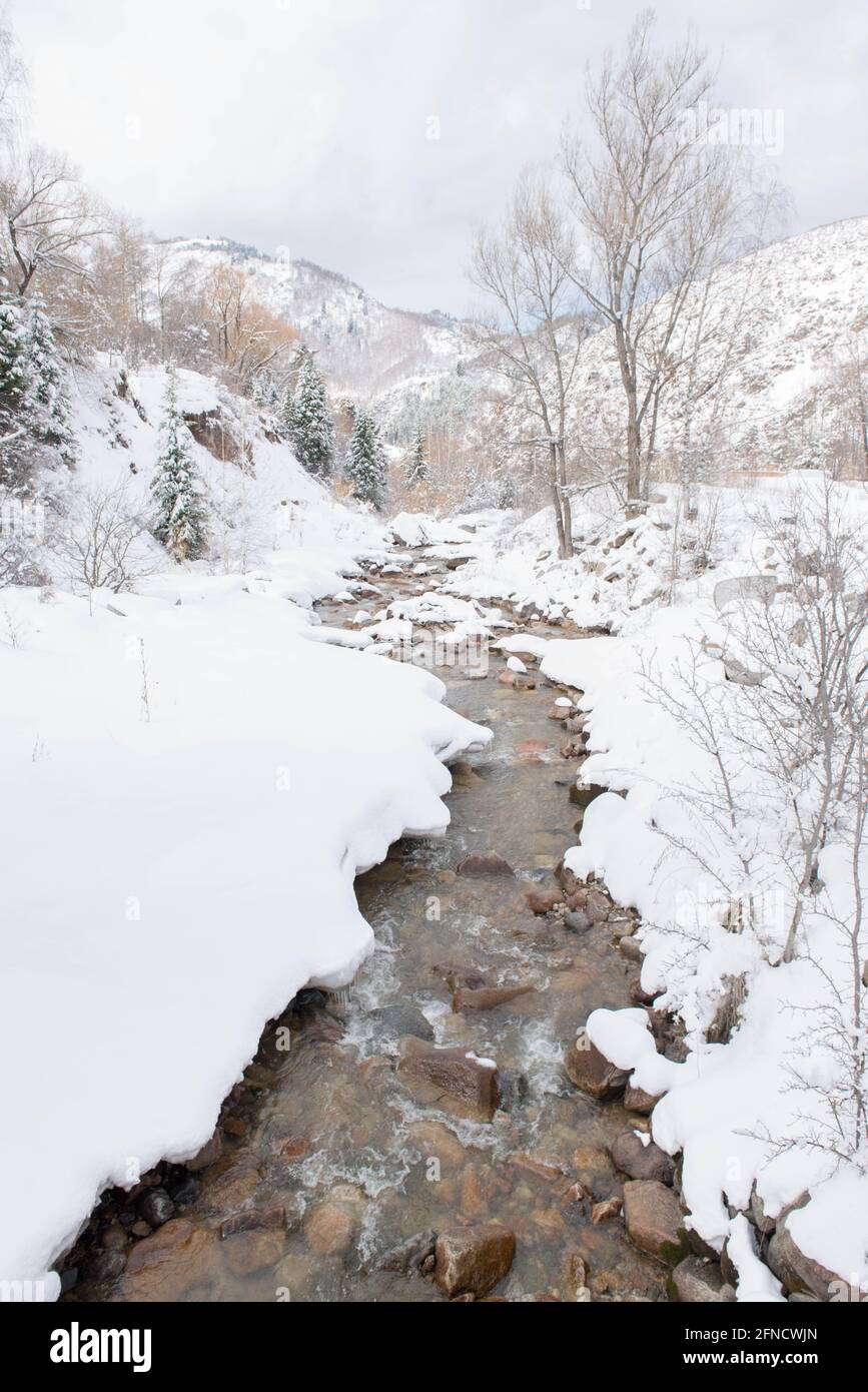 Kalter Gebirgsfluss in den Bergen im Schnee Stockfoto