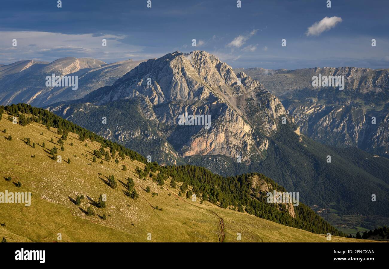 Pedraforca Zwillingsspitzen bei Sonnenaufgang, von der Serra d'Ensija Bergkette aus gesehen (Berguedà, Katalonien, Spanien, Pyrenäen) Stockfoto