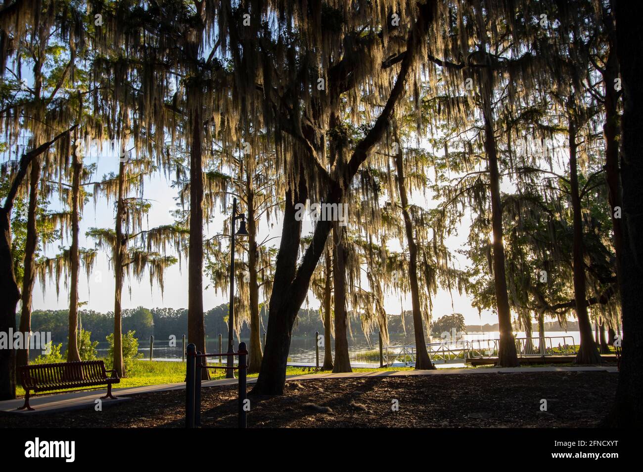 Morgen im Liberty Park, Inverness, Florida Stockfoto