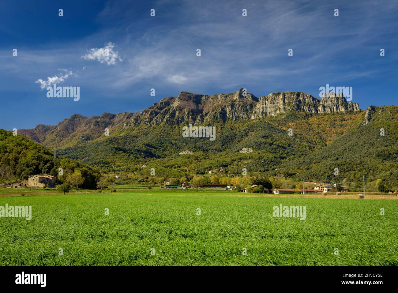 Puigsacalm von La Vall d'en Bas im Herbst (Provinz Girona, Garrotxa, Katalonien, Spanien) ESP: Puigsacalm visto desde La Vall d'en Bas en otoño Stockfoto