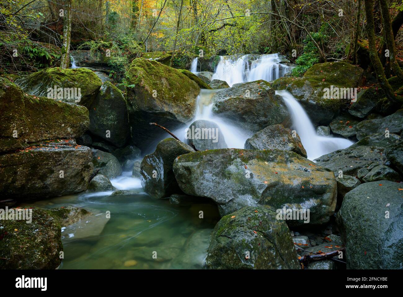 Fluss Gurn, auf dem Weg zwischen Sant Privat und dem Wasserfall Salt de Sallent im Herbst (Vall d'en Bas, Garrotxa, Katalonien, Spanien) Stockfoto