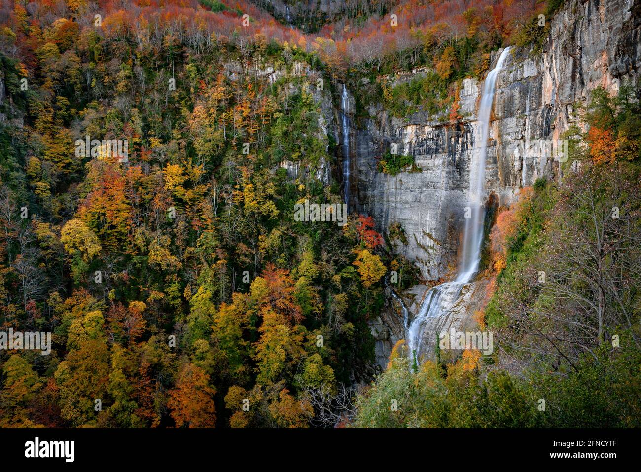 Wasserfall Sallent in Sant Privat d'en Bas, im Herbst (Garrotxa, Katalonien, Spanien) ESP: Salto de Sallent en Sant Privat d'en Bas, en otoño (Cataluña) Stockfoto