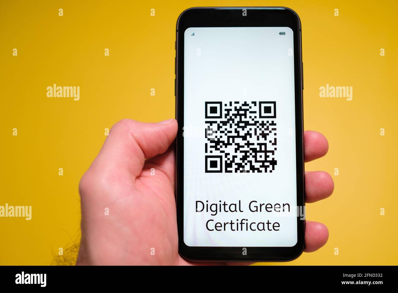 Digitales grünes Zertifikat mit QR-Code auf dem Bildschirm von Handy in mans Hand auf dem gelben Hintergrund Stockfoto