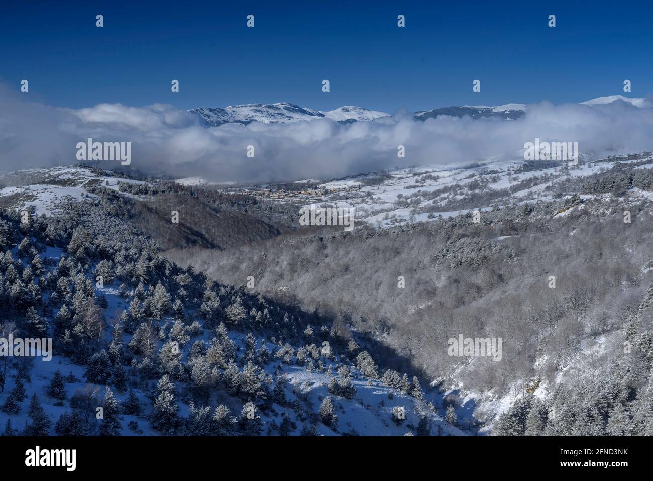 Blick von Coll d'Ares auf das verschneite Tal von Camprodon und Molló (Ripollès, Katalonien, Spanien, Pyrenäen) ESP: Vistas desde el Coll d'Ares, España Stockfoto