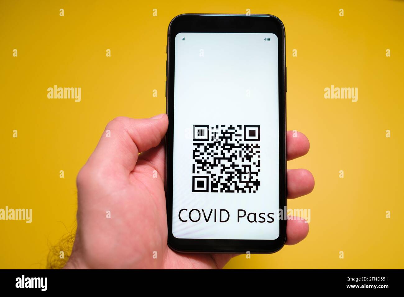 Ein Smartphone mit elektronischem Immun-digitalem Gesundheitspass, Covid-Pass mit QR-Code in mans-Hand auf gelbem Hintergrund. Stockfoto