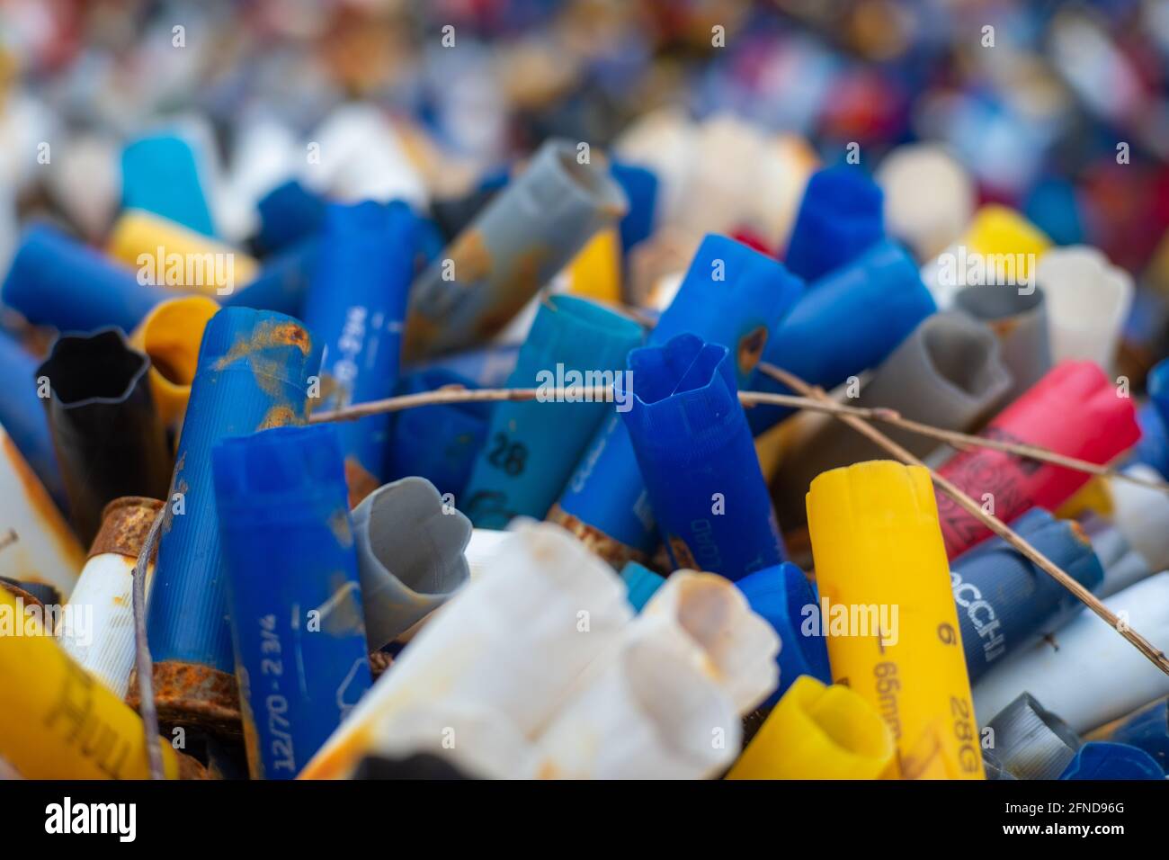 Viele bunte, ausgegebene Shotgun-Muscheln werden vor einem Schießstand in Großbritannien ausgestellt. Viele verschiedene Farben und Größen, Konzepte des Tonschießens, Krieg, Stockfoto