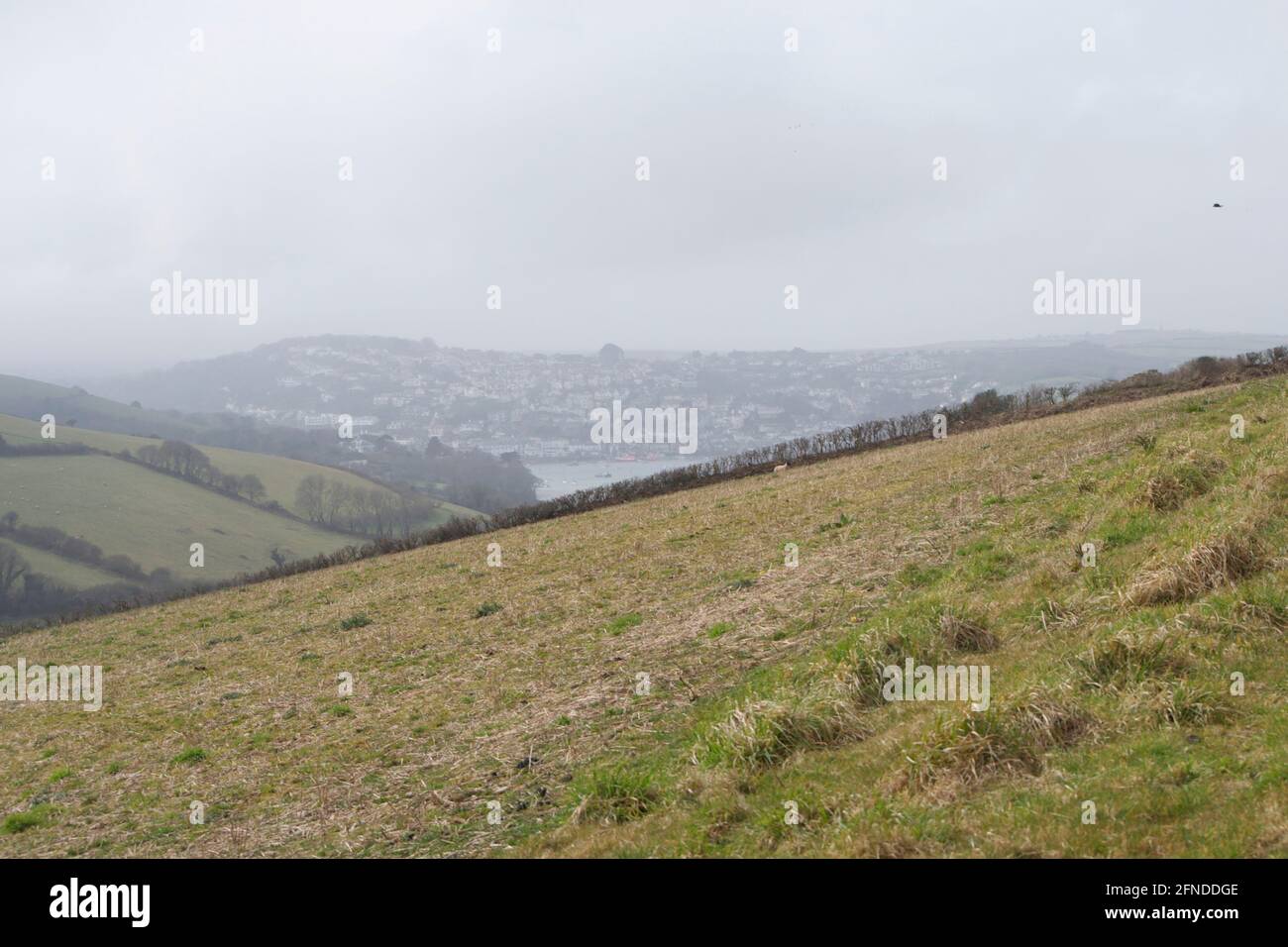 Blick über grasbewachsene Felder an einem grauen Tag: Sanfte Hügel mit Zaun oder Hecke am Horizont entlang und das Meer nur in der nebligen Ferne sichtbar Stockfoto