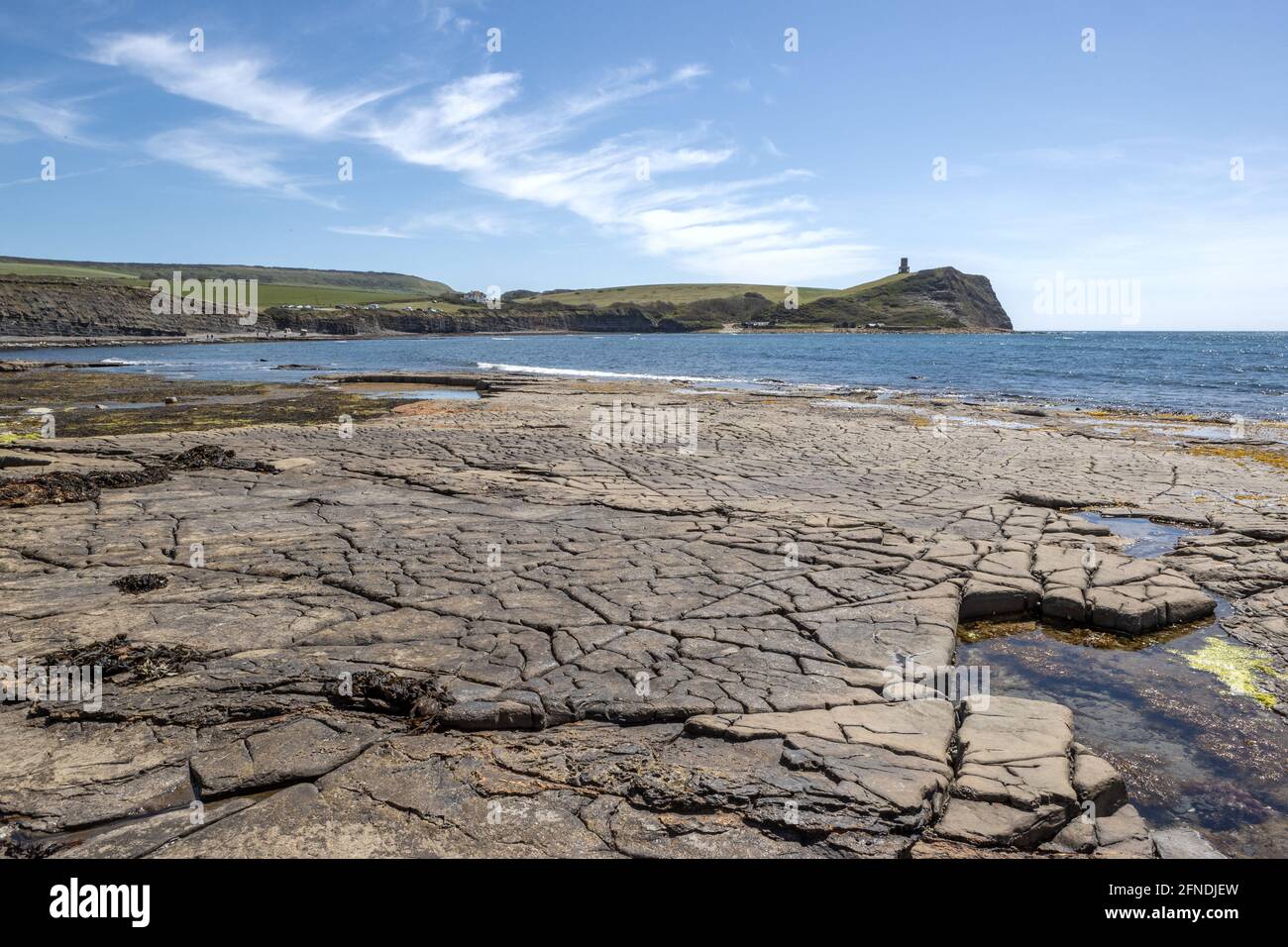 Clavell Tower, auch bekannt als Clavell Folly Kimmeridge Tower, Ebbe mit Algen und Seetang, Kimmeridge Bay, Isle of Purbeck, Jurassic Coast, Dorset, VEREINIGTES KÖNIGREICH Stockfoto