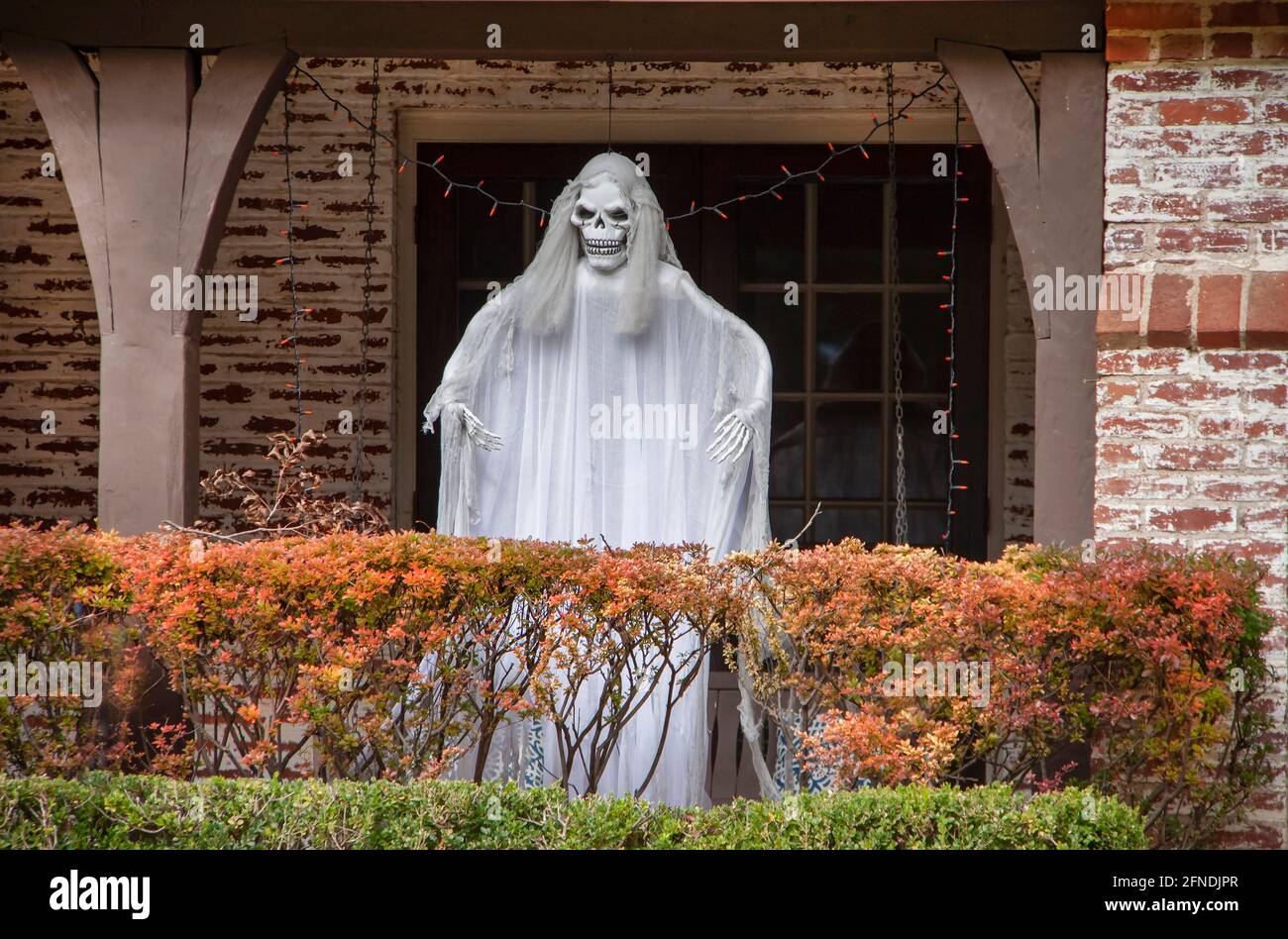 Zombie Geist auf der Veranda hinter Herbst farbigen Hecke für stehen Halloween Dekoration Stockfoto