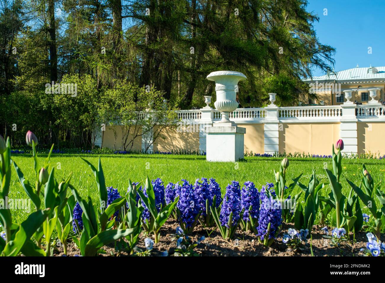 Erstaunliche Statuen im Archangelskoe Park und Parter im Park! Idyllischer Mai. Das gut Archangelskoje wurde 1800 gegründet. . Grüner Gras appera in Nu Stockfoto