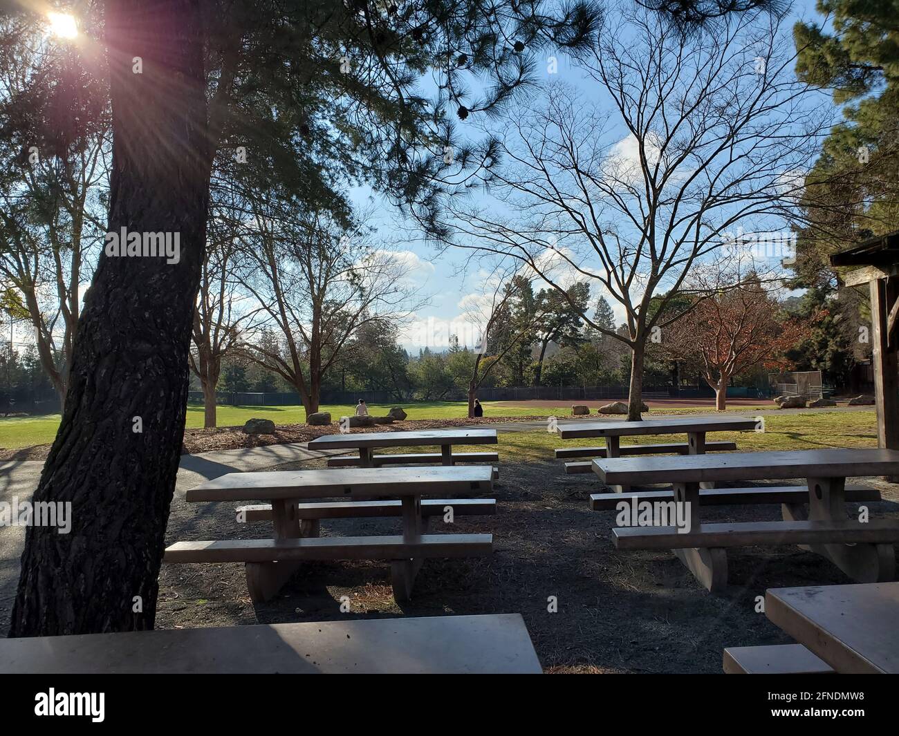 Foto des Grillbereichs mit Picknicktischen und Bänken im Rogers-Smith Park in Pleasant Hill, Kalifornien, 23. Januar 2021. () Stockfoto