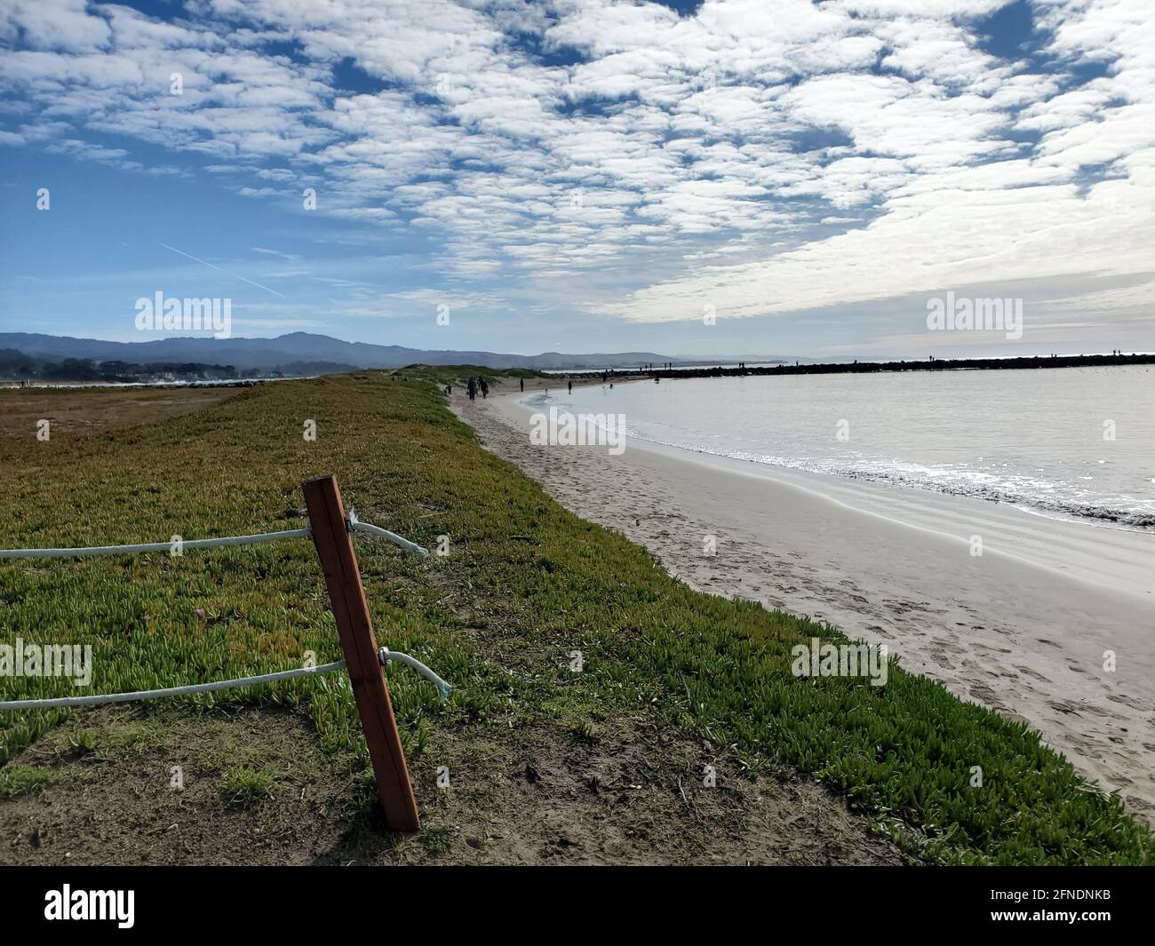 Weitaufnahme eines grünen Küstenstreifens mit weißem Sand und ruhigem Wasser, Fußgängern in der Ferne und einem Teil eines Zauns im Vordergrund am Pillar Point Harbour Beach in Half Moon Bay, Kalifornien, 30. Januar 2021. () Stockfoto