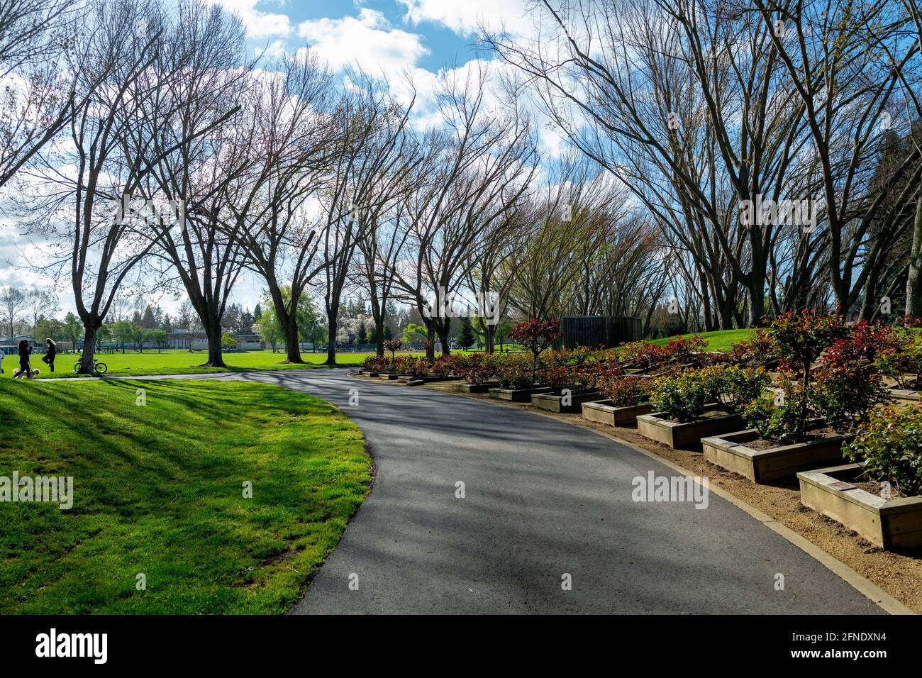 Am ersten Frühlingstag in der San Francisco Bay Area, Danville, Kalifornien, versammeln sich am 20. März 2021 im Osage Station Park Menschen im Freien. () Stockfoto