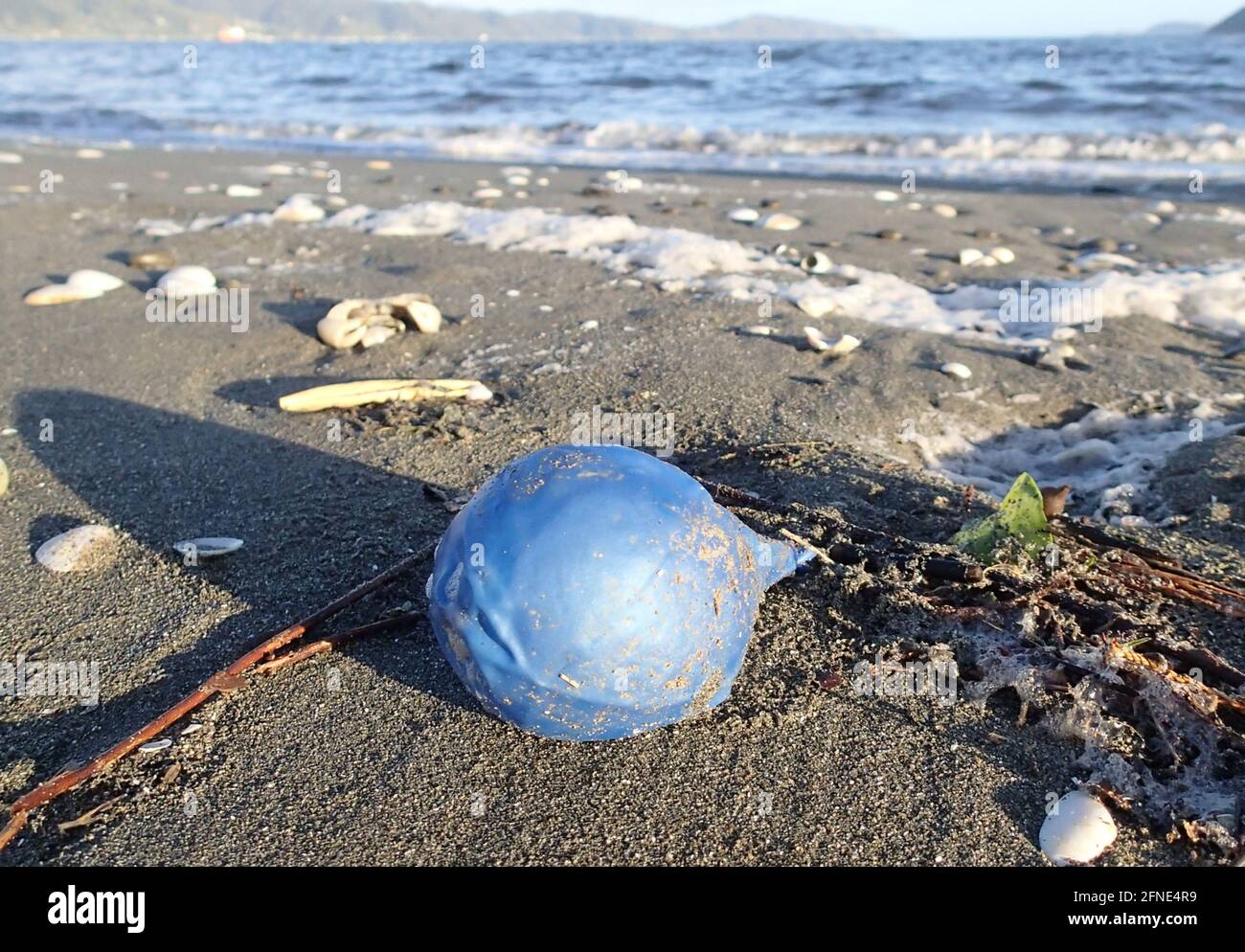 Am Petone Beach, NZ, liegt ein entlüschter Ballon Stockfoto