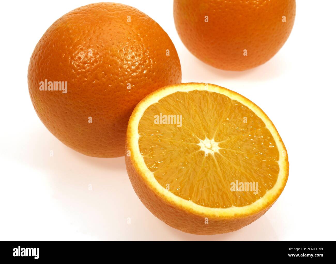 Citrus sinensis, Orange, Orangenbaum (Citrus sinensis), Orangenbaum, Orange, Familie der Rue, Zitrussinensiss vor weißem Hintergrund, Orange, Orange Stockfoto